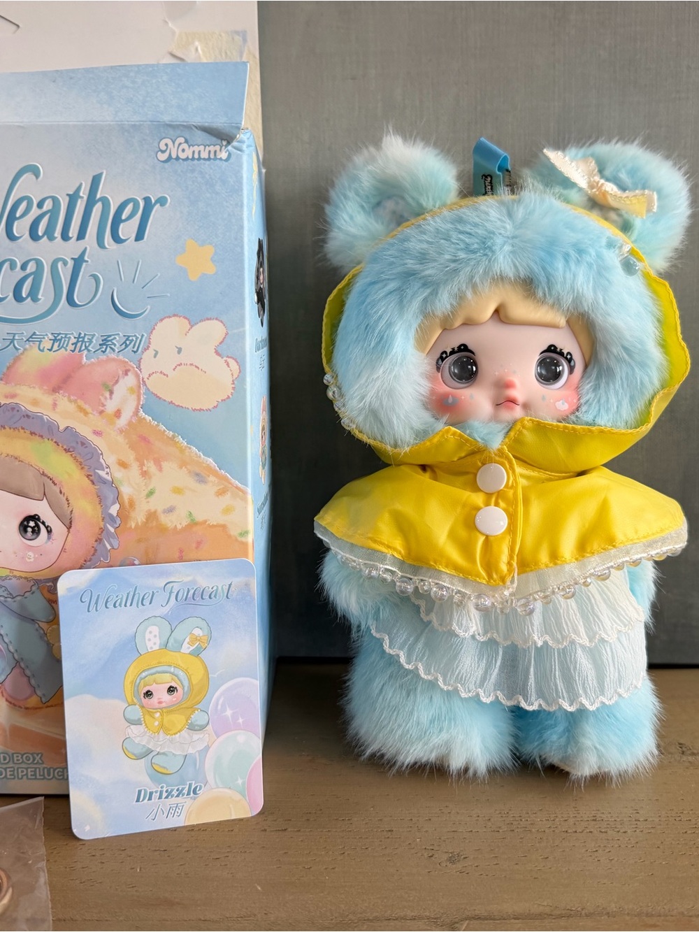 Weather Forecast Drizzle Plush/Pendant